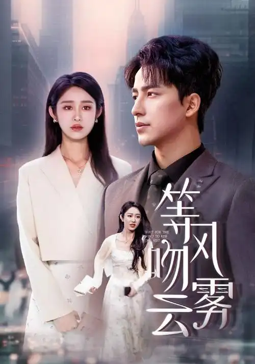 雾港迷案 悬疑电视剧全集